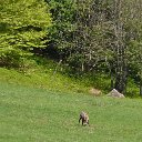 130601 08 Vogezen Ivonne (74)